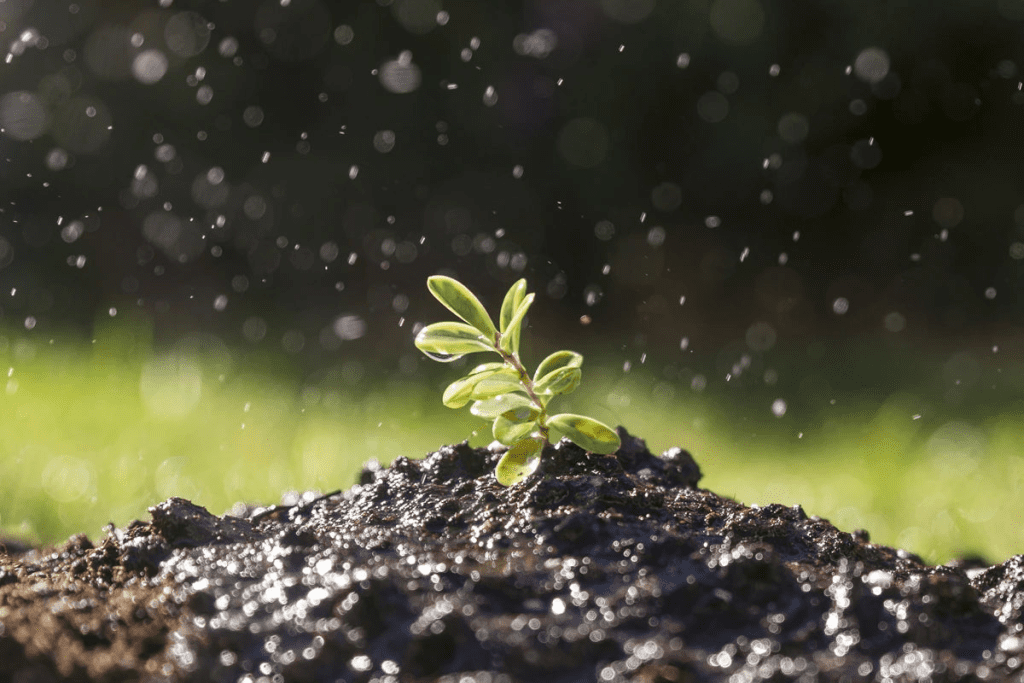 soil water energy and soil moisture characteristics curve