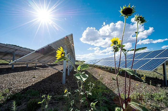 solar radiation. pedigogy