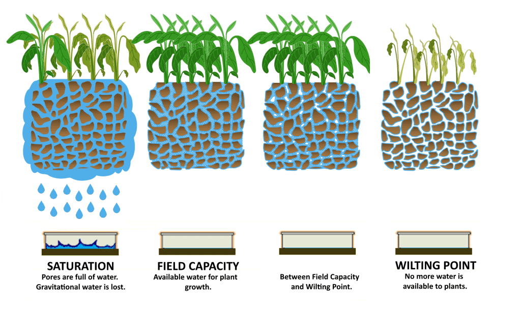 Water Movement Based on Soil Moisture Levels