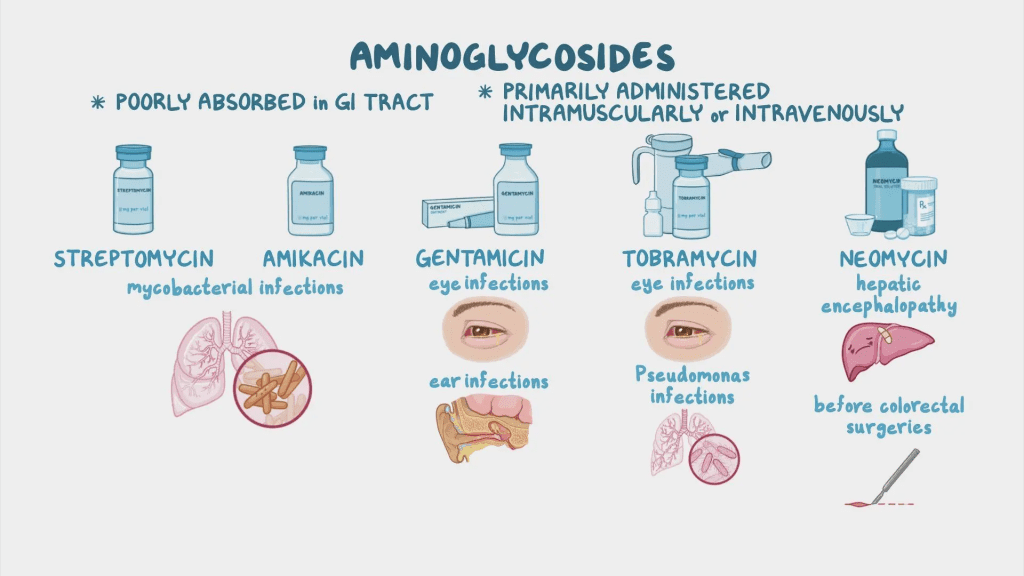 Pharmacokinetics Overview
