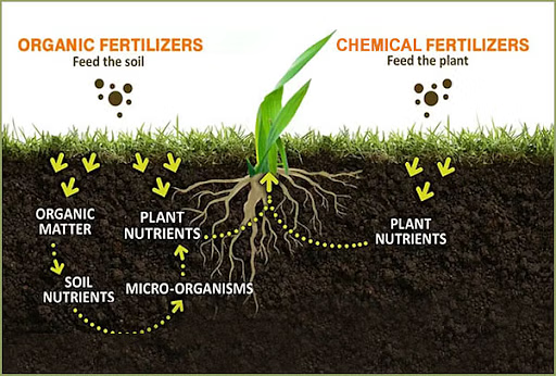 Why Understanding Fertilizer Classification Matters