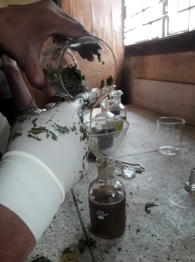Methanol extract preparation