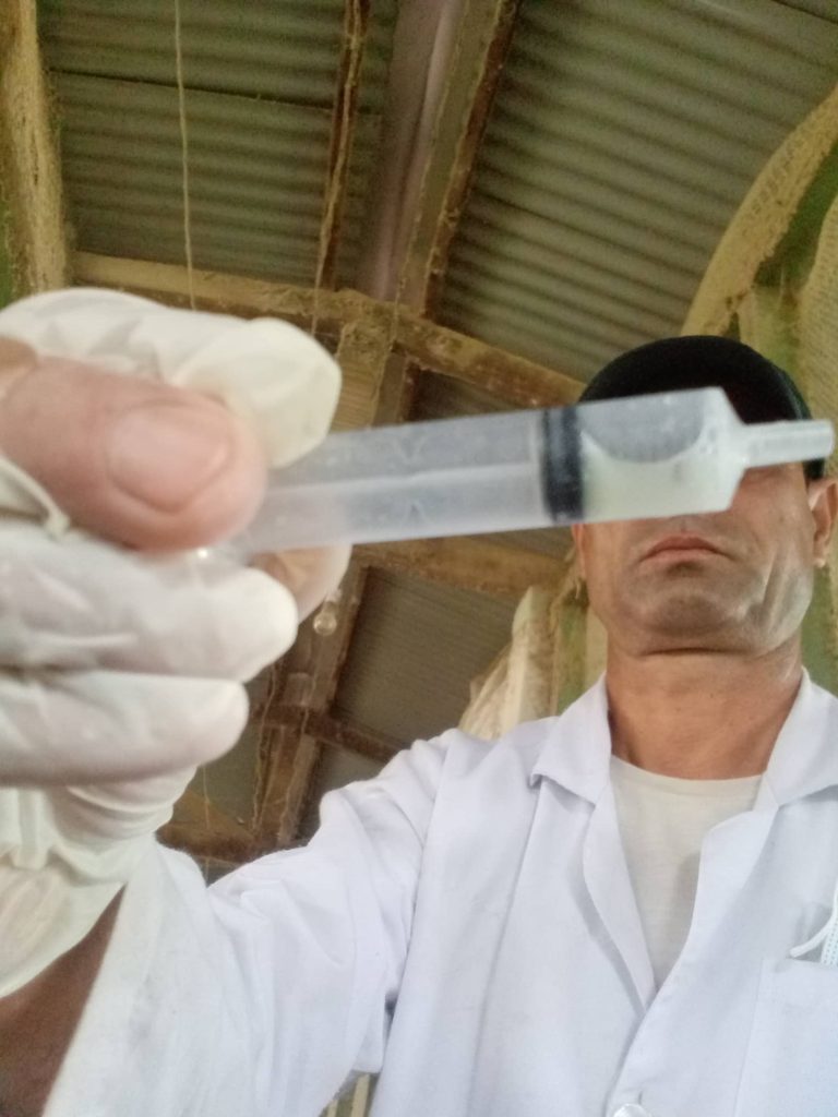 semen insemination