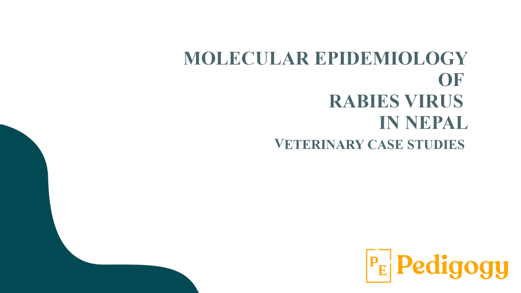 Molecular epidemiology of rabies virus in Nepal: A Veterinary Case Study | Pedigogy