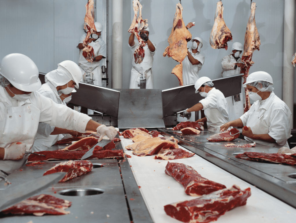 Why Meat Hygiene Matters