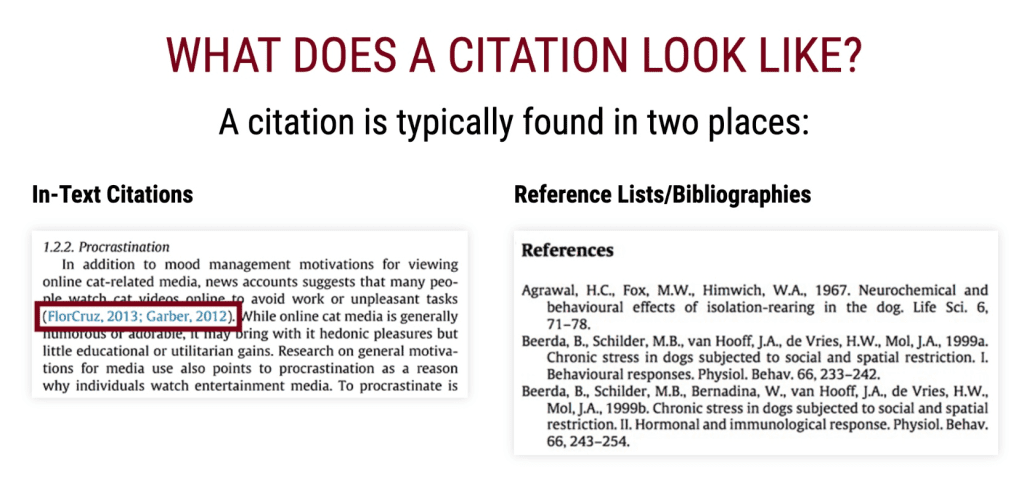 A typical in-text citation