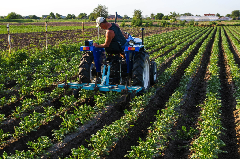 physical weed control